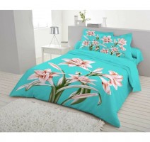 Double Cotton Bedsheet - Vb29 - Zafb